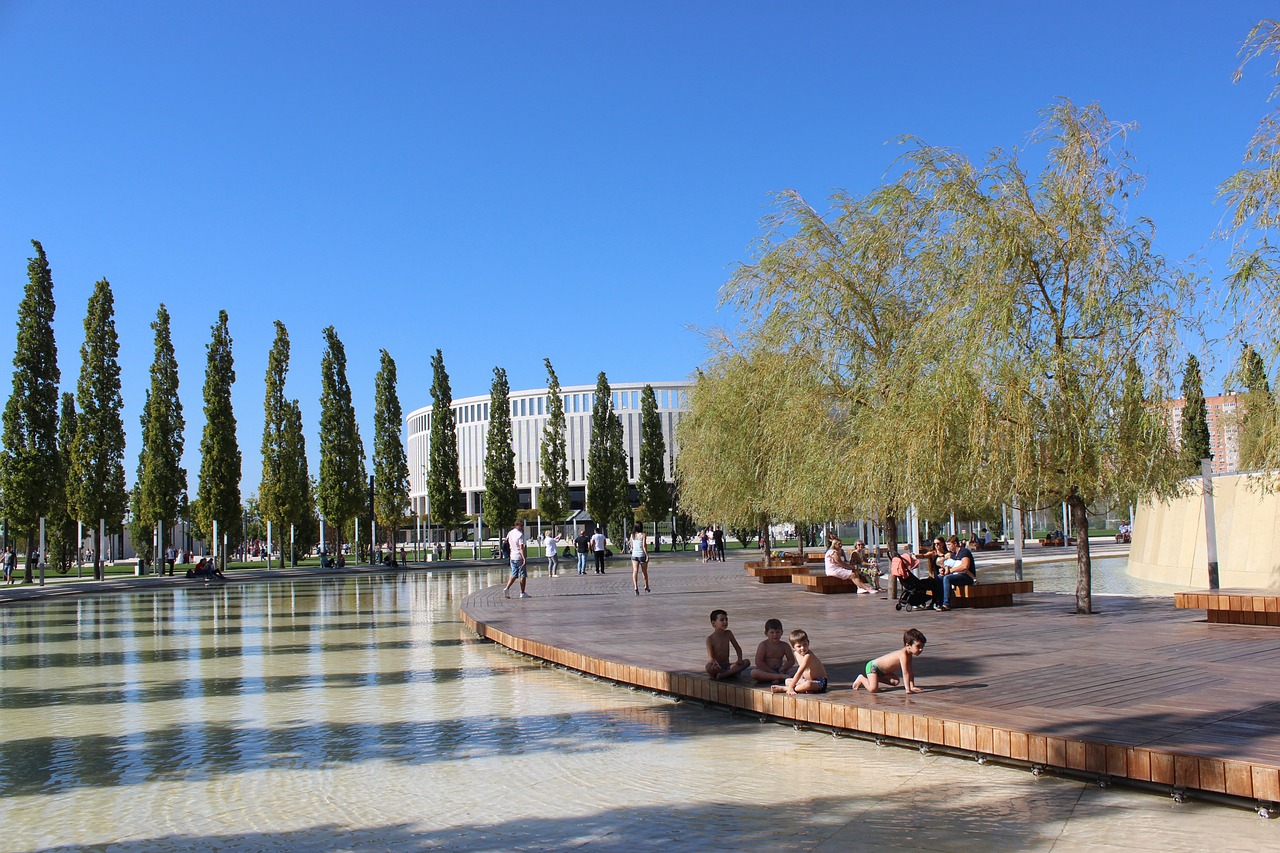 佩德里能够 佩德里能够