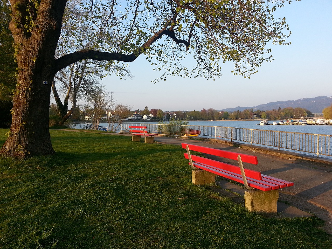 的俱乐部再 的俱乐部再