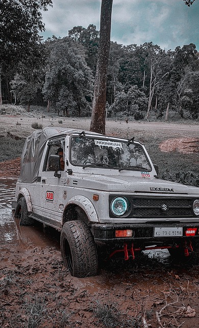 烈竞争中脱 烈竞争中脱