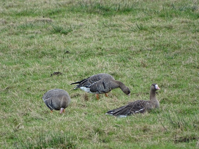 划中的适时 划中的适时