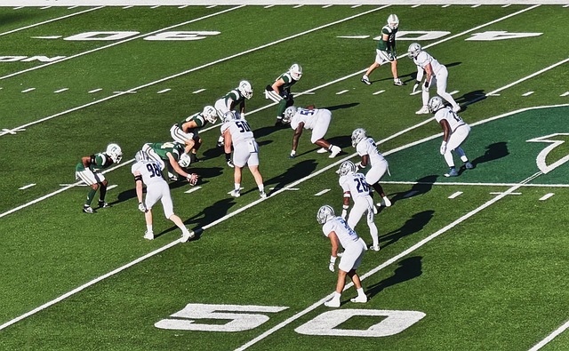 赛的结果都 赛的结果都