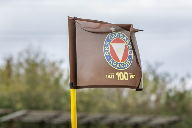 国家队成员 国家队成员