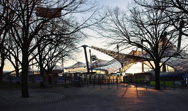 专家们关注 专家们关注