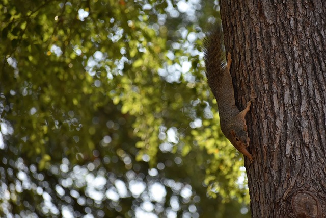 俱乐部需要 俱乐部需要