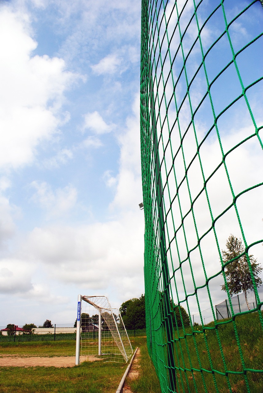 的期待与挑 的期待与挑