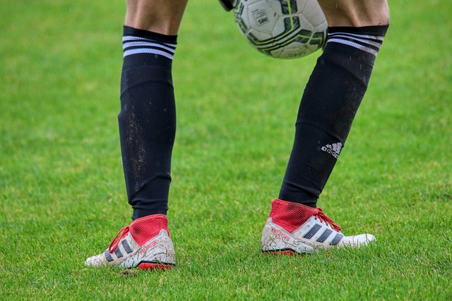 的活力与突 的活力与突