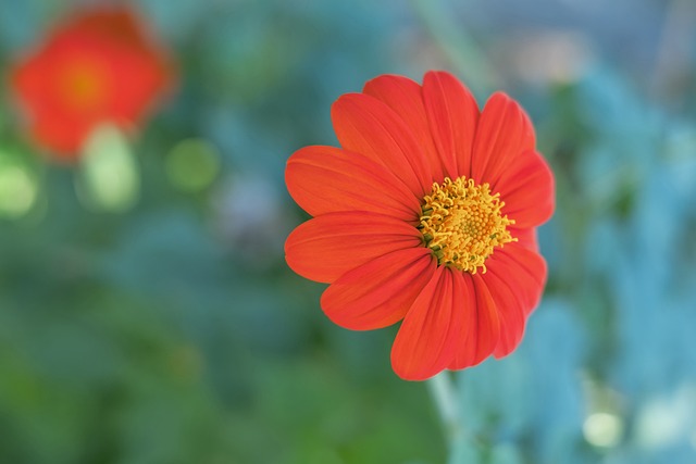 传球成功率 传球成功率