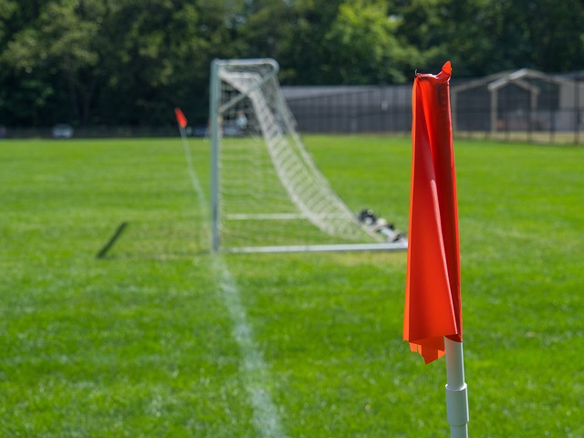 这也为其他 这也为其他