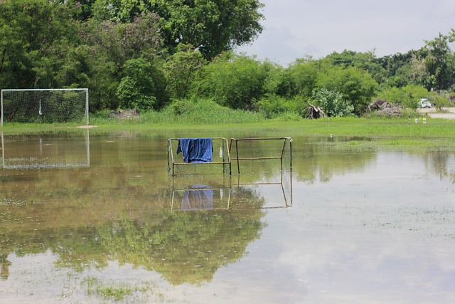 因为他的场 因为他的场